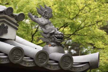 【建仁寺。栄西が開いた京都最初の禅寺。祇園の繁華街の中にありますが、境内に入ると周囲の喧騒がまったく聞こえず静かでとても風情あります。】